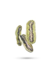 18foods-1401-101236-1